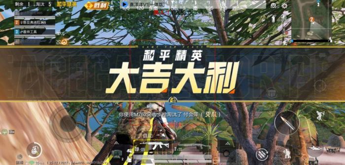 和平精英飞行器辅助怎么用（和平精英飞行器获取了怎么用）